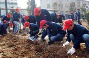 1435133665129159.jpg 16.jpg